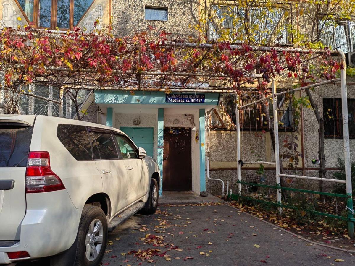 Boutique - в мятных оттенках Daire